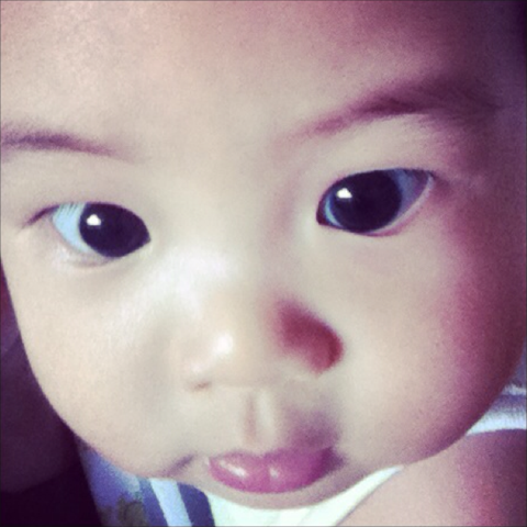 Yosha Honasan